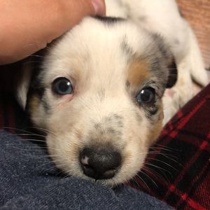 Meet your Posher, Rebecca